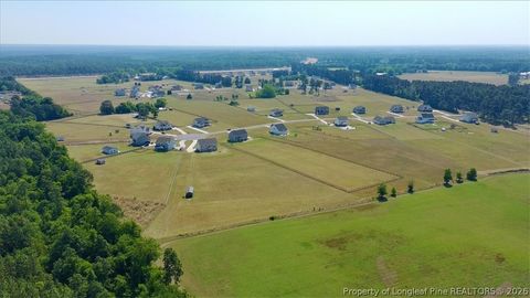 Tiny photo for 339 Rocking Horse Lane, Raeford, NC 28376 (MLS # 761037)