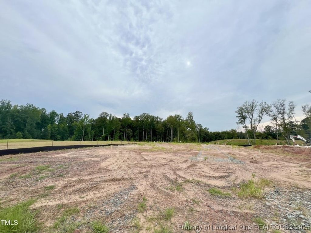 Photo of 2839 Bristol Way, Sanford, NC 27330 (MLS # 751467)