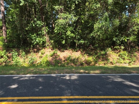 Tiny photo for 4835 Grays Creek Church Road, Hope Mills, NC 28348 (MLS # 768110)