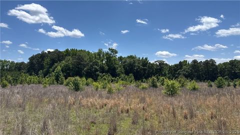 Photo of Snipes Road, Red Springs, NC 20747 (MLS # 762526)