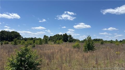 Tiny photo for Snipes Road, Red Springs, NC 20747 (MLS # 762526)