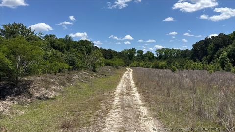 Tiny photo for Snipes Road, Red Springs, NC 20747 (MLS # 762526)
