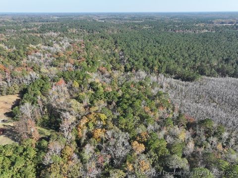 Tiny photo for TBD Mille Christine Road, Whiteville, NC 28472 (MLS # 754304)