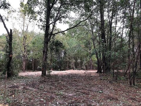 Tiny photo for 700 Slocomb Road, Fayetteville, NC 28311 (MLS # 759386)