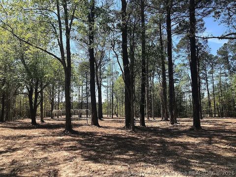 Tiny photo for 700 Slocomb Road, Fayetteville, NC 28311 (MLS # 759386)