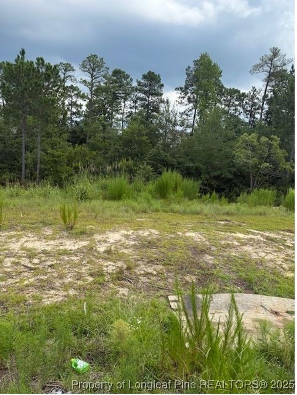 Photo of 646 Pittfield Run, Cameron, NC 28326 (MLS # 747965)