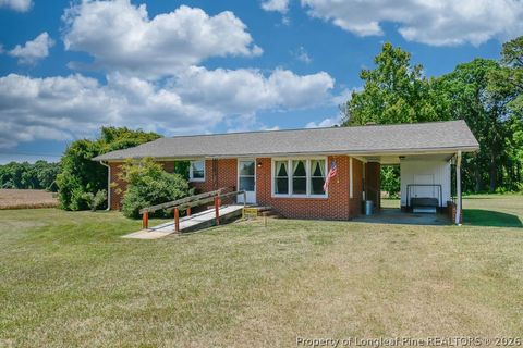 Photo of 2288 McNeill Drive, Broadway, NC 27505 (MLS # 764389)