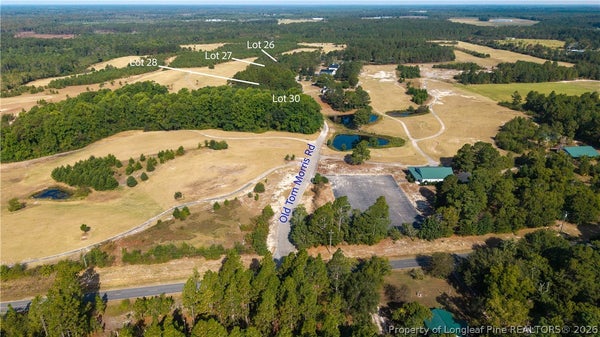 OLD TOM MORRIS RD, GARLAND, NC 28441 - Image 2c854d8f9df6de803ddc4dc6a74abc94/1525828498