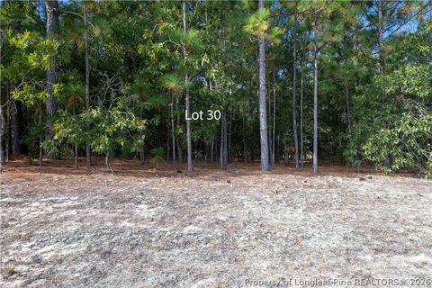 Tiny photo for Old Tom Morris Road, Garland, NC 28441 (MLS # 758070)