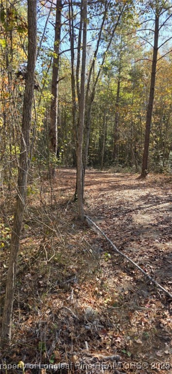 tbd Cameron Hill Road