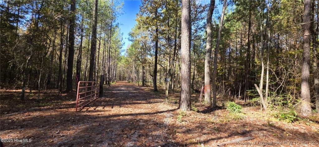 Photo of tbd Cameron Hill Road, Cameron, NC 28326 (MLS # 752437)