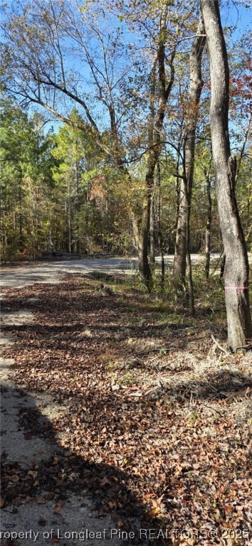 tbd Cameron Hill Road