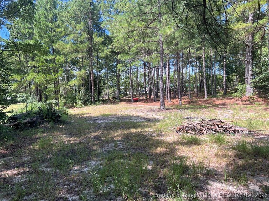 Photo of 161 &amp; 195 Ellington Drive, Raeford, NC 28376 (MLS # 748951)
