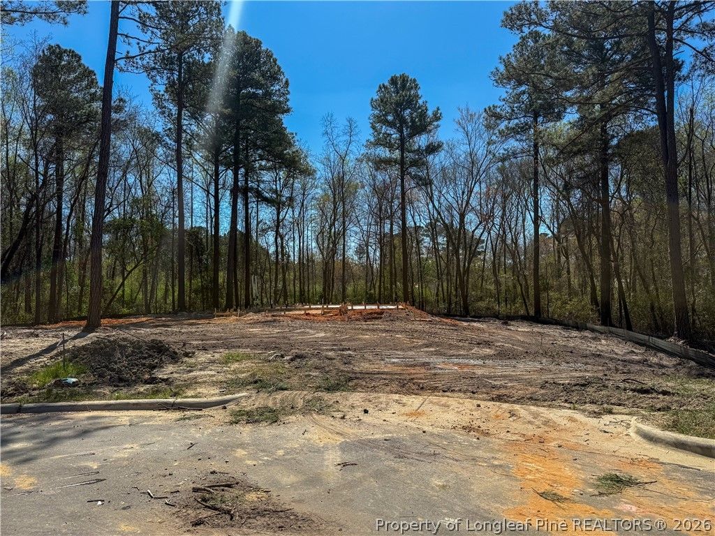 Photo of 5401 Tall Timbers (Lot 95) Drive, Fayetteville, NC 28311 (MLS # 759318)