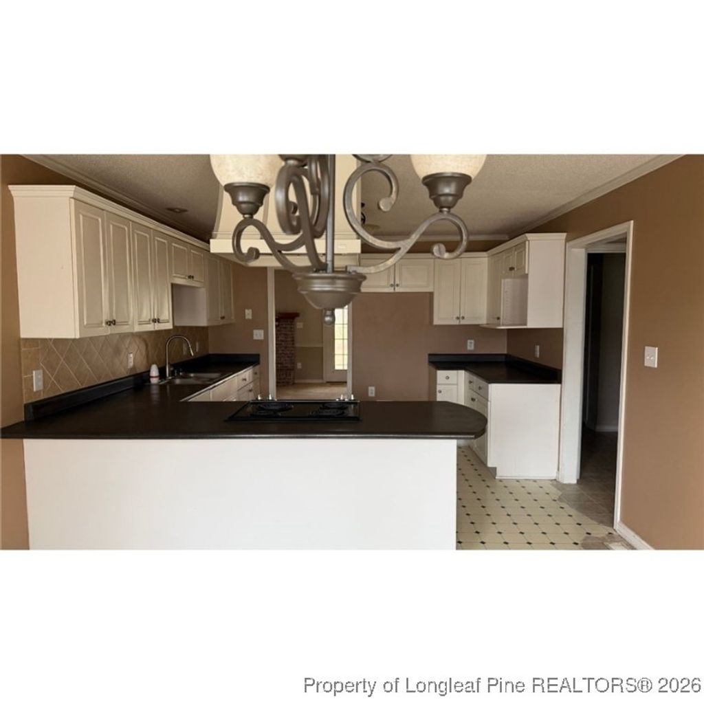 Photo of 47 Hidden Cove Lane, Clinton, NC 28328 (MLS # 756215)