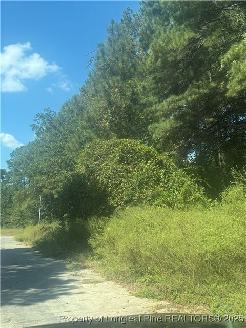 Photo of 2907 Midland Court, Fayetteville, NC 28306 (MLS # 751509)