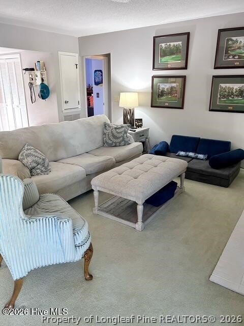 Photo of 250 Sugar Gum Lane #252, Pinehurst, NC 28374 (MLS # 768779)