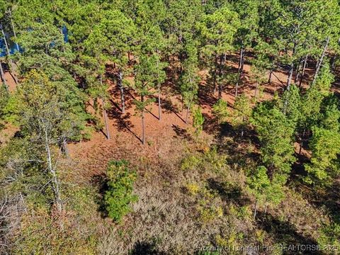 Tiny photo for 7018 Harrison Lane, West End, NC 27376 (MLS # 752418)