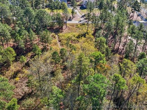 Tiny photo for 7018 Harrison Lane, West End, NC 27376 (MLS # 752418)