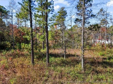 Tiny photo for 7018 Harrison Lane, West End, NC 27376 (MLS # 752418)