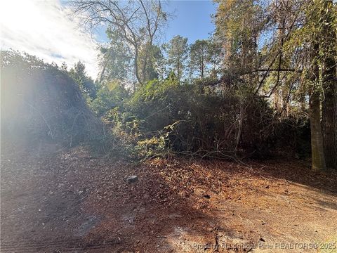 Photo of Blake Drive and Off Highway 401 Drive, Raeford, NC 28376 (MLS # 754108)
