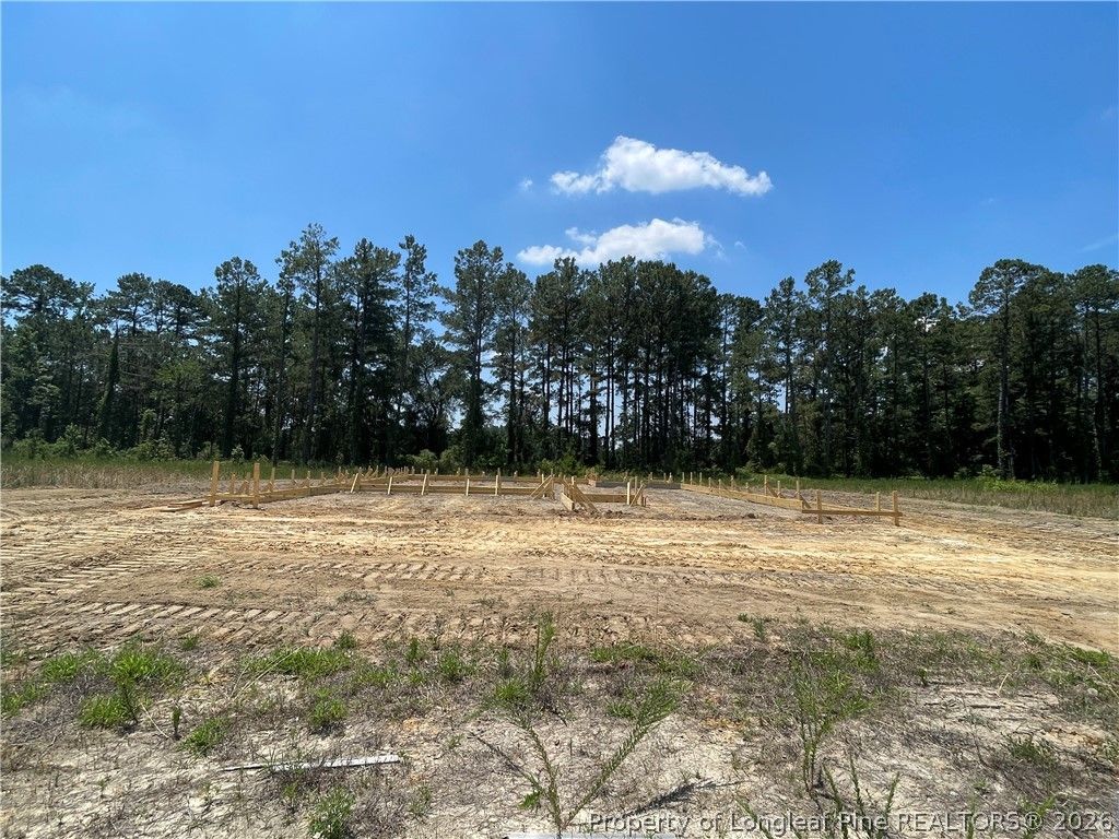 Photo of 4264 Halkirk Drive, Fayetteville, NC 28312 (MLS # 764255)