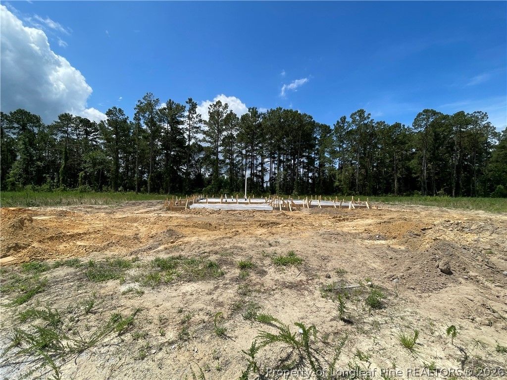 Photo of 4264 Halkirk Drive, Fayetteville, NC 28312 (MLS # 764255)