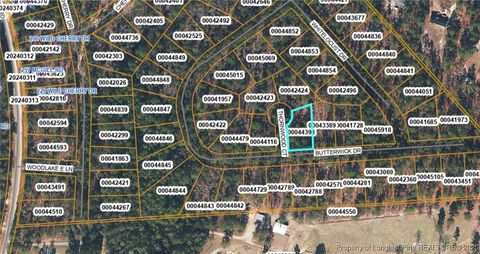 Tiny photo for TBD Thornwood Court, Vass, NC 28394 (MLS # 752663)