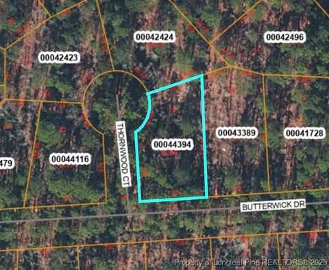 Photo of TBD Thornwood Court, Vass, NC 28394 (MLS # 752663)