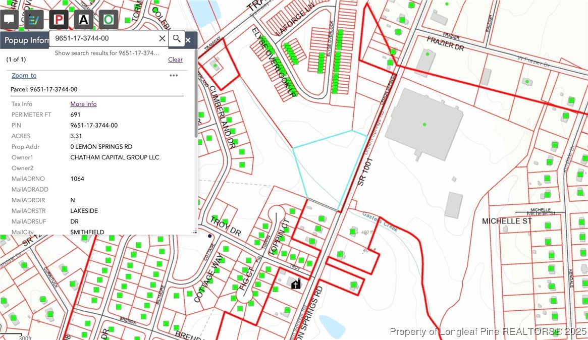 0 Lemon Springs Road