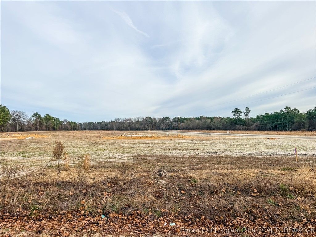 Photo of 3348 S RIVER SCHOOL (LOT 2) Road, Wade, NC 28395 (MLS # 755139)