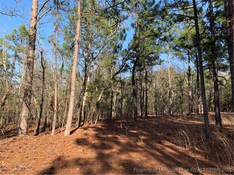 Tiny photo for 1124 Chicken Plant Road, Aberdeen, NC 28315 (MLS # 746285)