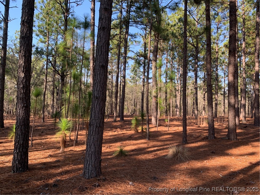 1124 Chicken Plant Road