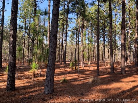 Tiny photo for 1124 Chicken Plant Road, Aberdeen, NC 28315 (MLS # 746285)