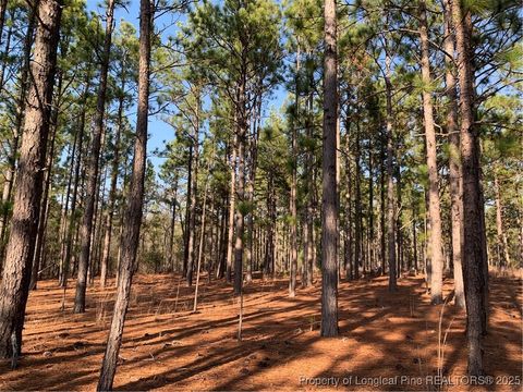 Tiny photo for 1124 Chicken Plant Road, Aberdeen, NC 28315 (MLS # 746285)