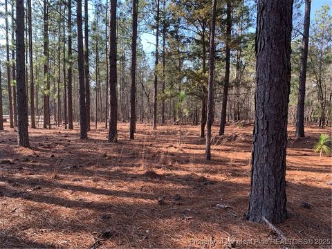 Tiny photo for 1124 Chicken Plant Road, Aberdeen, NC 28315 (MLS # 746285)