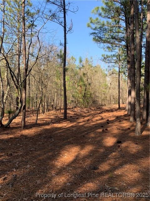 Tiny photo for 1124 Chicken Plant Road, Aberdeen, NC 28315 (MLS # 746285)