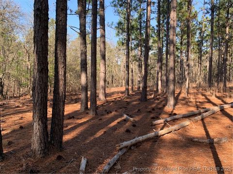 Tiny photo for 1124 Chicken Plant Road, Aberdeen, NC 28315 (MLS # 746285)