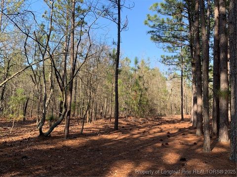 Tiny photo for 1124 Chicken Plant Road, Aberdeen, NC 28315 (MLS # 746285)