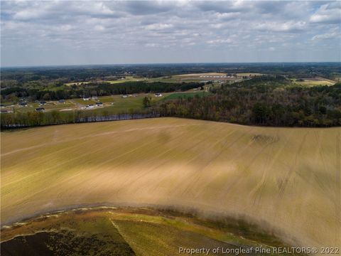 Tiny photo for TBD J T Matthews Road, Godwin, NC 28344 (MLS # 676734)