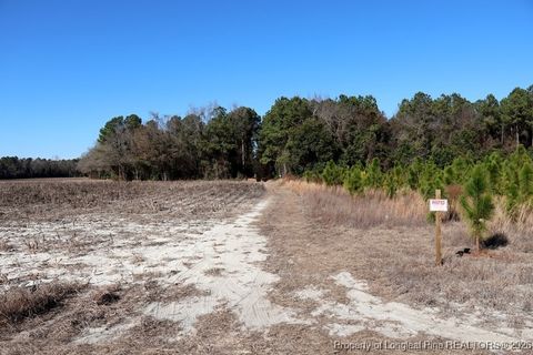 Tiny photo for TBD Stuarts Mill Road, Fairmont, NC 28340 (MLS # 756388)