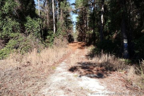 Tiny photo for TBD Stuarts Mill Road, Fairmont, NC 28340 (MLS # 756388)