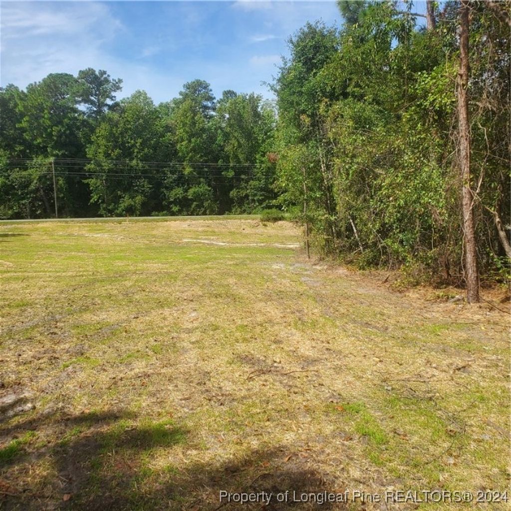 Photo of Lot 3 Rockfish Road, Raeford, NC 28376 (MLS # 731883)