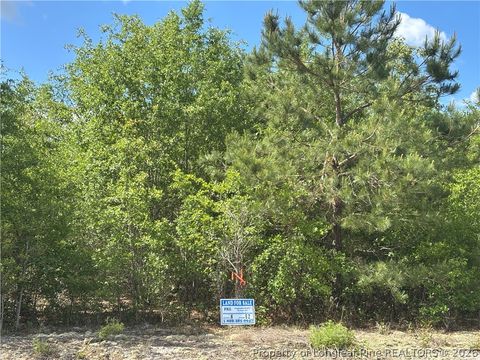 Photo of Johnson Road, Fayetteville, NC 28312 (MLS # 763633)