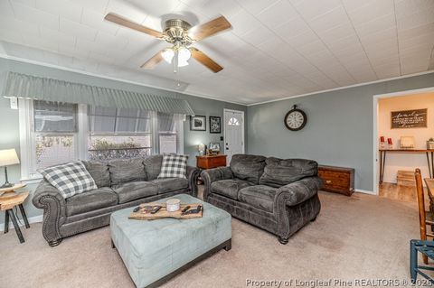 Tiny photo for 2096 Holly Springs Church Road, Broadway, NC 27505 (MLS # 757821)