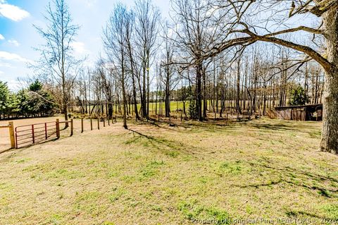 Tiny photo for 2096 Holly Springs Church Road, Broadway, NC 27505 (MLS # 757821)