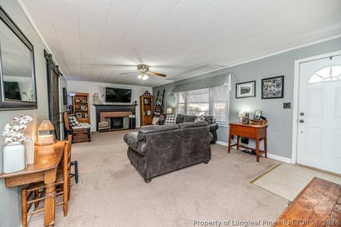Tiny photo for 2096 Holly Springs Church Road, Broadway, NC 27505 (MLS # 757821)