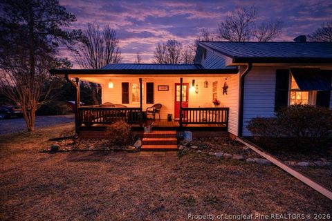 Tiny photo for 2096 Holly Springs Church Road, Broadway, NC 27505 (MLS # 757821)