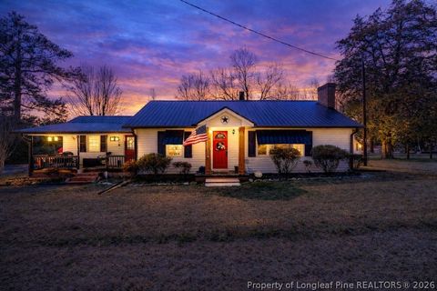 Photo of 2096 Holly Springs Church Road, Broadway, NC 27505 (MLS # 757821)