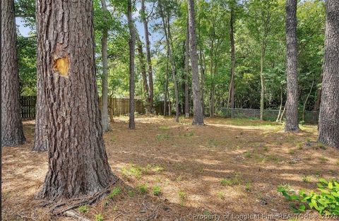 Tiny photo for 1040 Alexwood Drive, Hope Mills, NC 28348 (MLS # 765114)